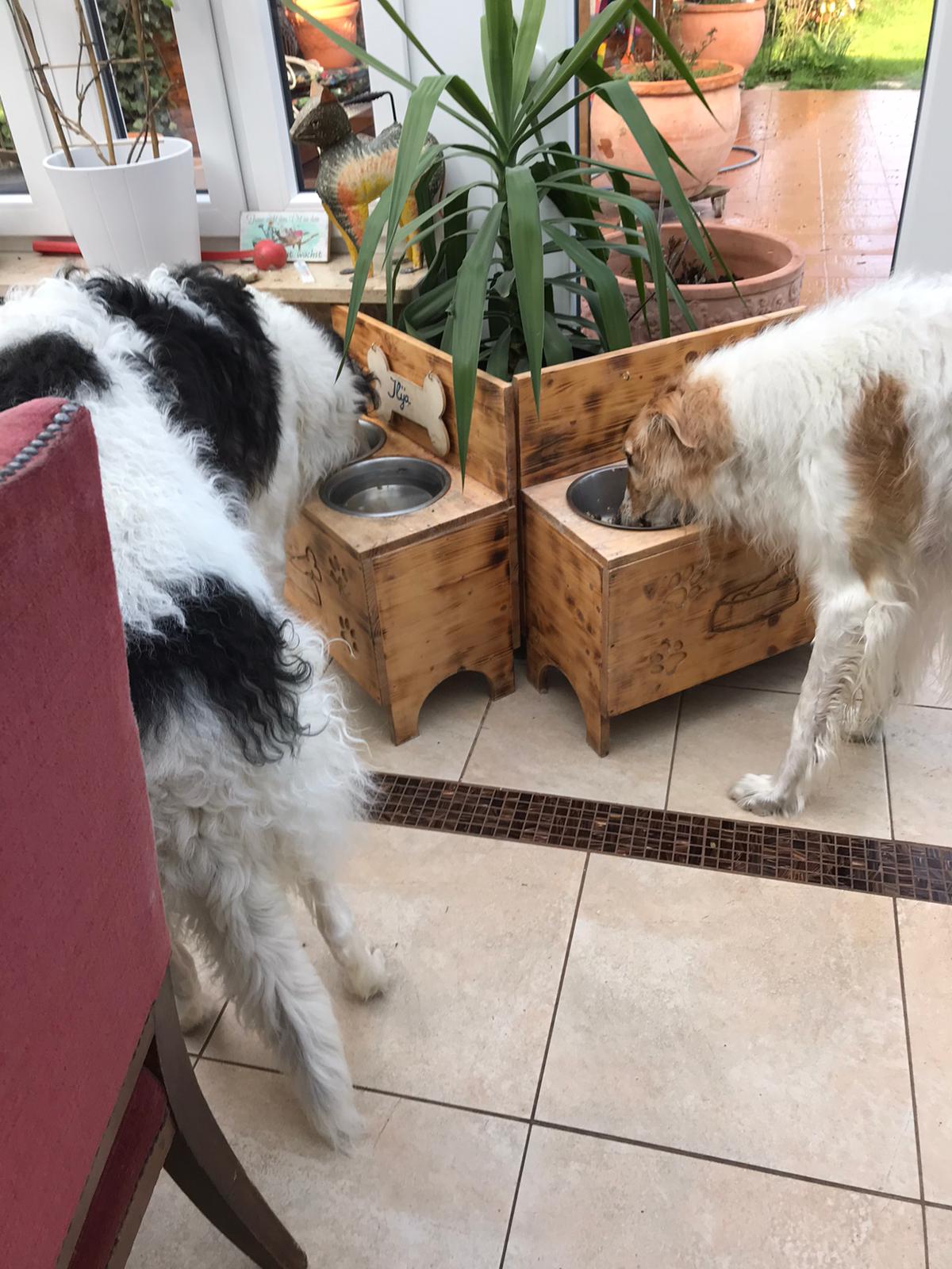 ...im neuen Zuhause angekommen